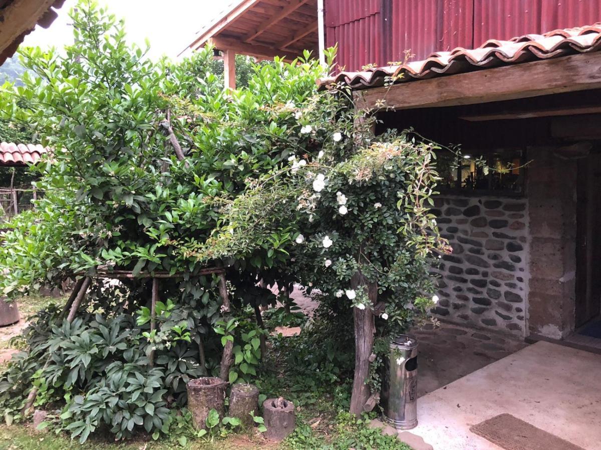 Gomis Mta Riverside Ozurget'i Exterior foto
