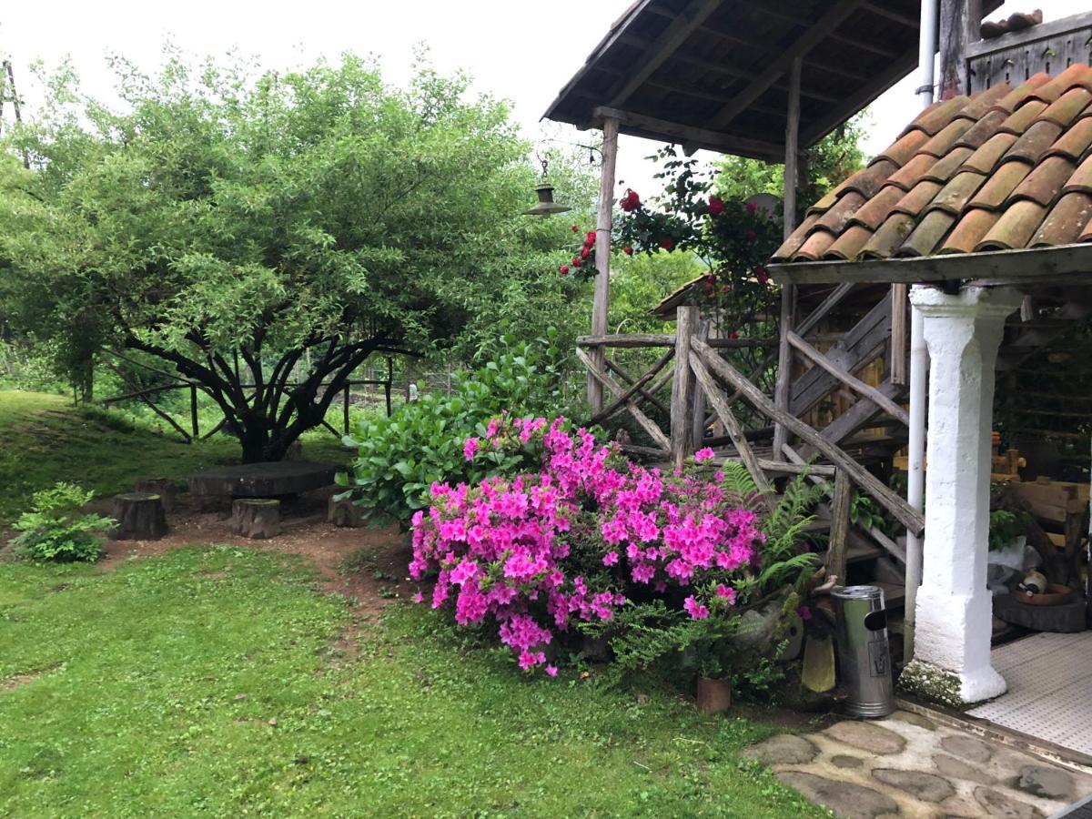 Gomis Mta Riverside Ozurget'i Exterior foto